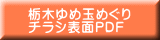 栃木ゆめ玉めぐり チラシ表面PDF 